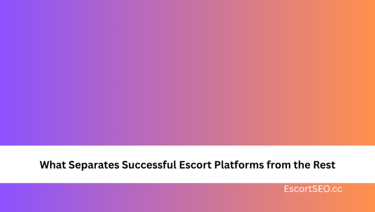 What Separates Successful Escort Platforms from the Rest